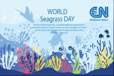 World Seagrass Day